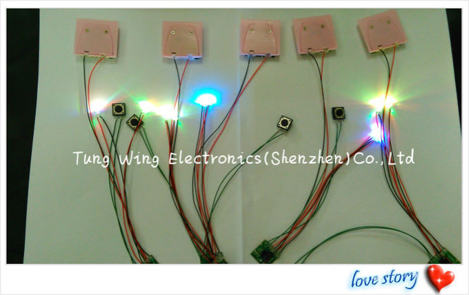 2 bunte LED und 1 blinkendes LED Modul des Knopf-mit schönen Lichtern 6