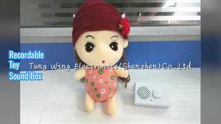 Beschreibbare Soundbox für Plüschtiere