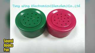 Soundmodul Kinderbücher Lernspielzeug