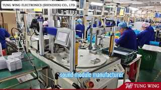 Professioneller Hersteller von Klangbüchern